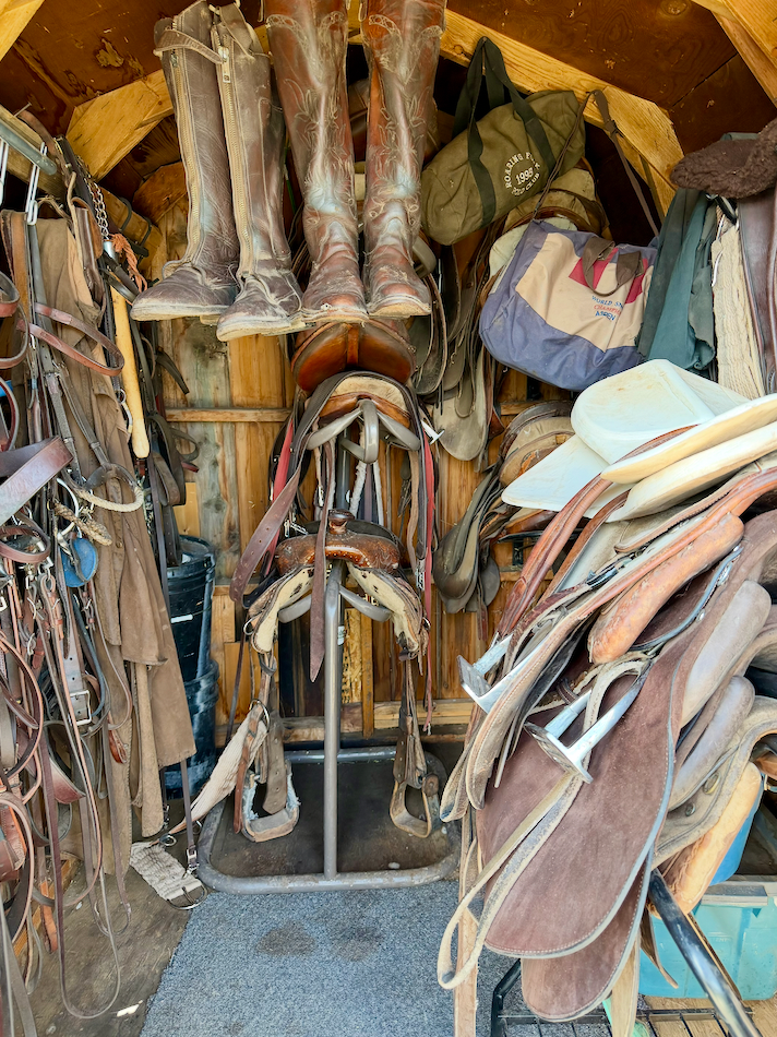 A tack room crowded with worn leather saddles, chaps and riding boots hung on wooden walls.