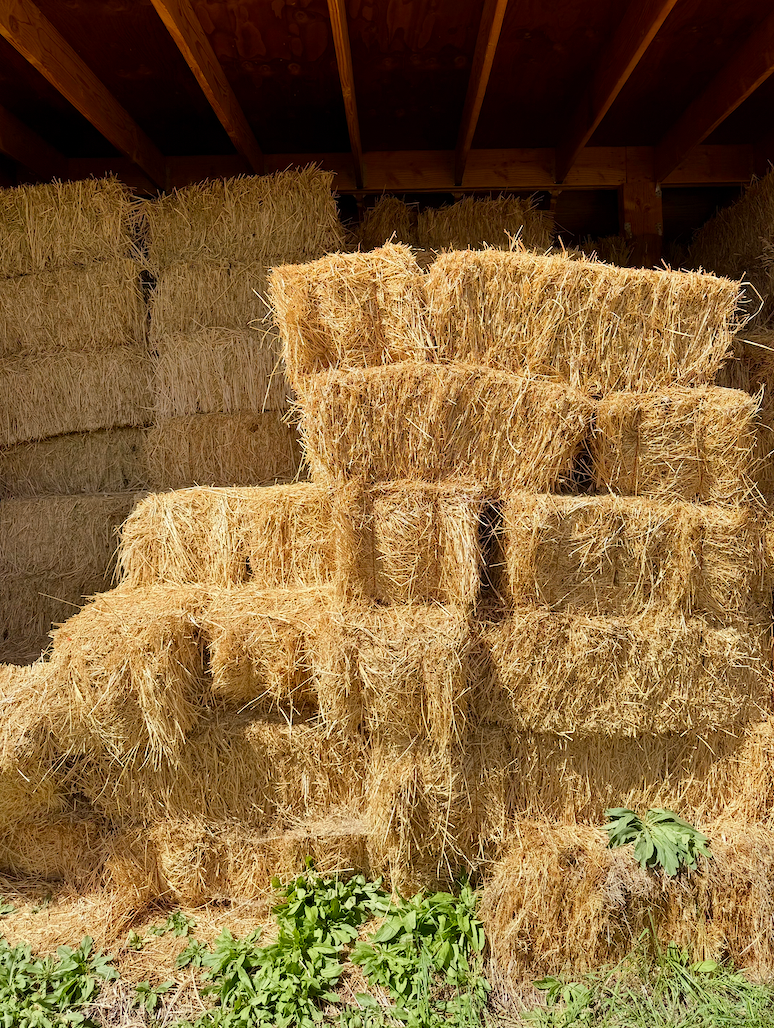 Stacked hay bales in the shade of a barn.