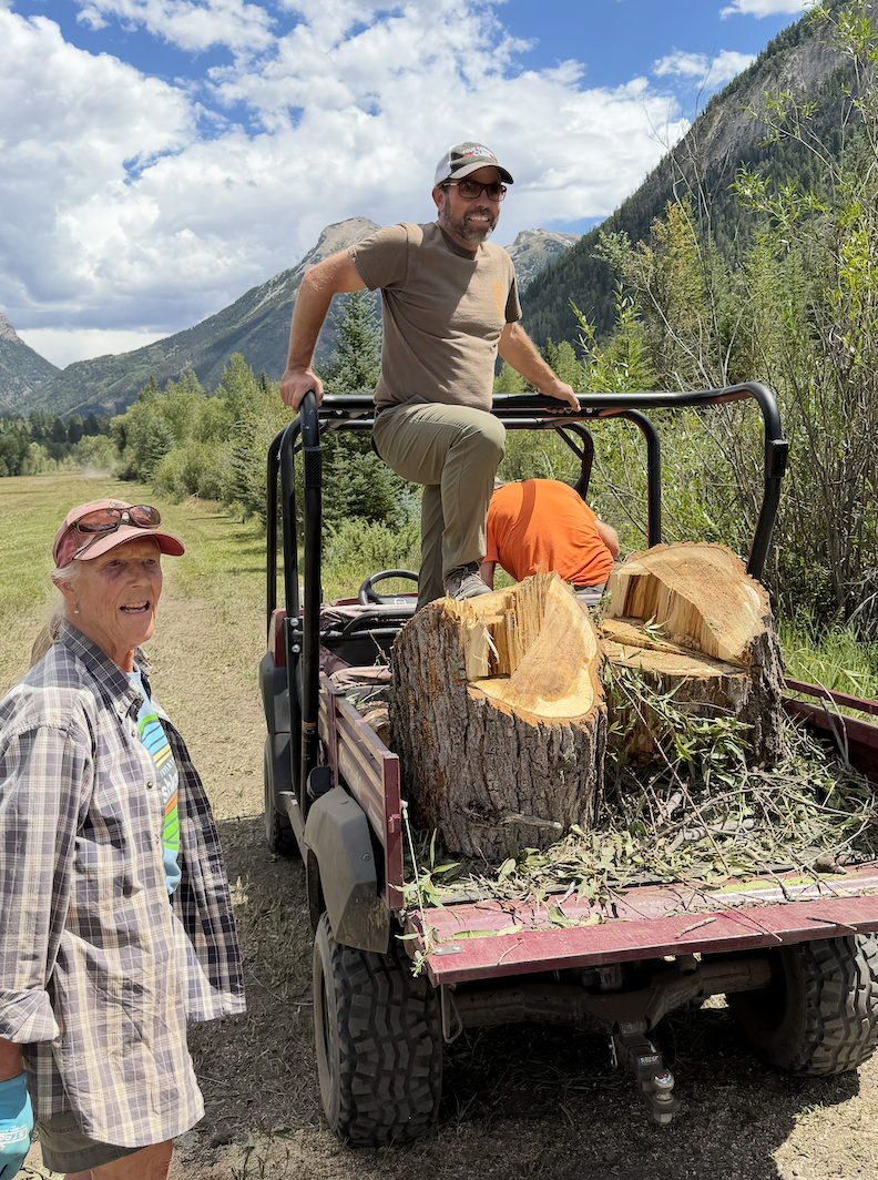 Volunteers beside a utility vehicle loaded with cut tree trunks and branches, mountains behind.
