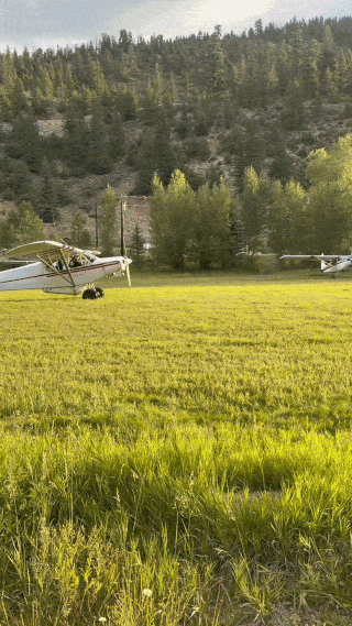 Animated clip of a small high-wing airplane parked on a grass airstrip in a forested valley.