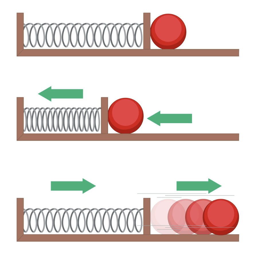 Diagram of a spring and a red ball: the spring at rest, then compressed as the ball pushes in, then released as the ball shoots out.